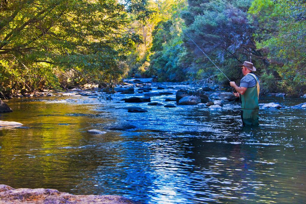 Tyenna River Cottages Extérieur photo